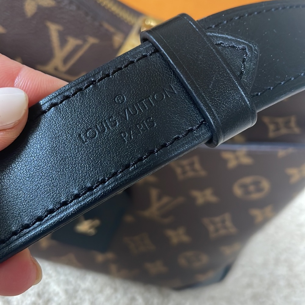 Louis Vuitton Monogram Canvas Crossbody Bag in Brown and Black - Picture 4 of 14